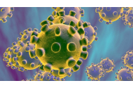 Prima fotografie făcută coronavirusului. Poza a fost realizată chiar în momentul în care virusul se multiplică FOTO