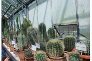 Grădina Botanică din Iaşi va fi gazda unei expoziţii de plante exotice