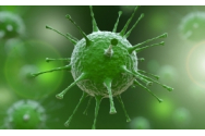 Avertismentul unui expert: Epidemia coronavirus din China ar putea afecta 60% din populația globului