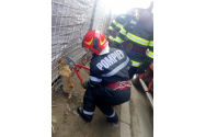 Pompierii bârlădeni au desfășurat tehnica de descarcerare pentru a salva o pisică