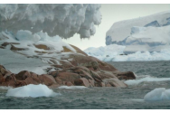 Topirea gheţii scoate la lumină noi insule din Antarctica