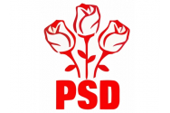 Zece primari de la PNL si presedintele Consiliului Judetean Calarasi au trecut la PSD