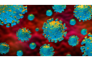 Studiu: cât rezistă noul coronavirus în aer și pe suprafețe. Se transmite și de la 4,5 metri