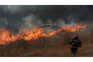   80 de hectare de teren, distruse de incendiu la Suceava
