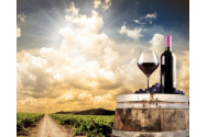  Doi ieșeni au jurizat primul concurs de vinuri din lume în sistem online