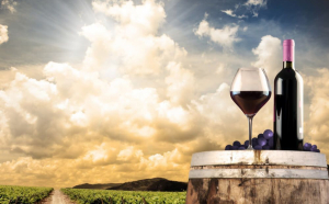  Doi ieșeni au jurizat primul concurs de vinuri din lume în sistem online