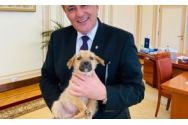 La inițiativa ministrului Marcel Vela, câinii din gospodăria unde unul a fost ucis cu sapa au fost salvați