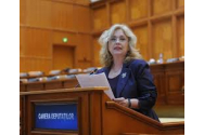 Deputatul PSD de Iași, prof. dr. Camelia Gavrilă: Guvernul Orban nu pare interesat de siguranța cetățenilor