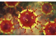 320 de noi cazuri de imbolnavire cu coronavirus, in ultimele 24 de ore, bilantul a crescut la 23.400. S-au inregistrat si 11 decese